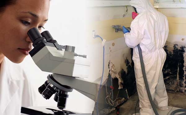 Global Indoor Health Network - Testing in water-damaged homes and buildings